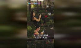 湛江主播爆料视频最新,揭秘湛江背后惊人真相！