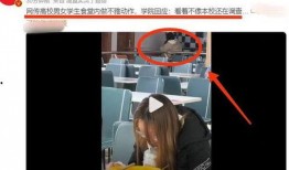 辣眼视频爆料,真相令人震惊！